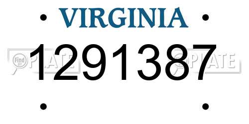 1291387 Virginia License Plate