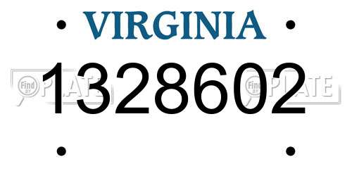 1328602 Virginia License Plate