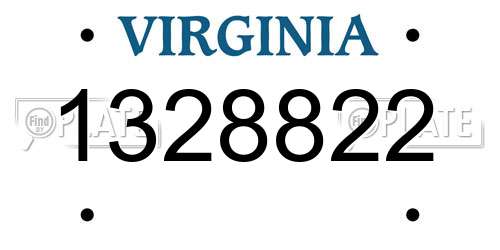 1328822 Virginia License Plate