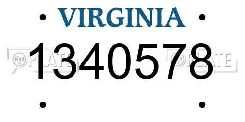 1340578 Virginia License Plate