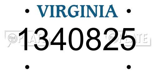 1340825 Virginia License Plate