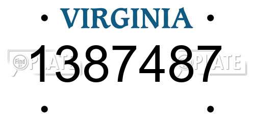 1387487 Virginia License Plate
