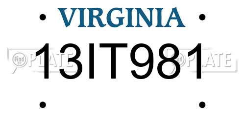 13IT981 Virginia License Plate
