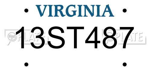 13ST487 Virginia License Plate