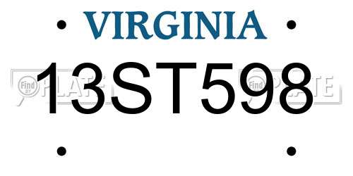 13ST598 Virginia License Plate