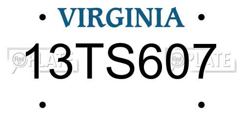 13TS607 Virginia License Plate