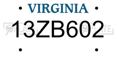 13ZB602 Virginia License Plate