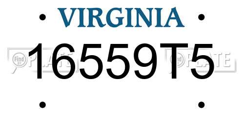 16559T5 Virginia License Plate