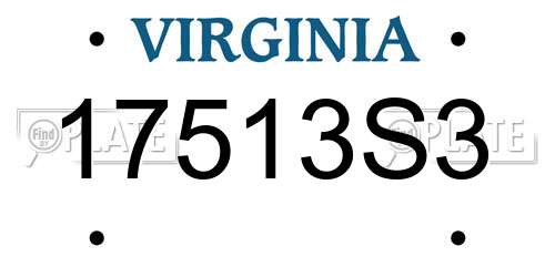 17513S3 Virginia License Plate