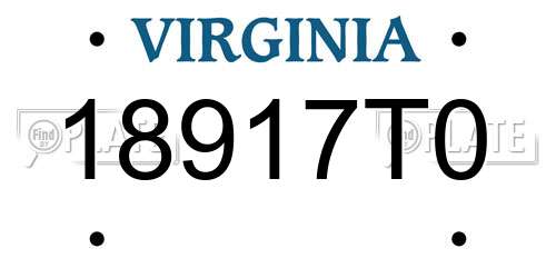 18917T0 Virginia License Plate