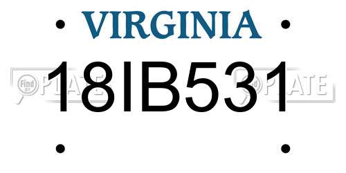 18IB531 Virginia License Plate