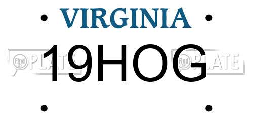 19HOG Virginia License Plate