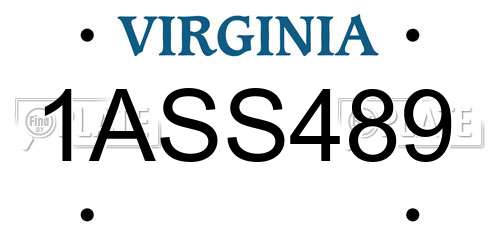 1ASS489 Virginia License Plate