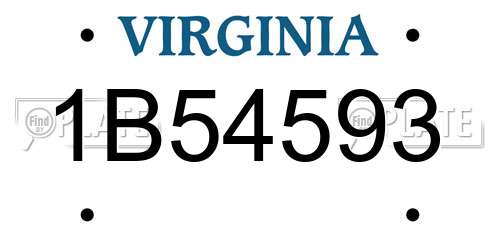 1B54593 Virginia License Plate