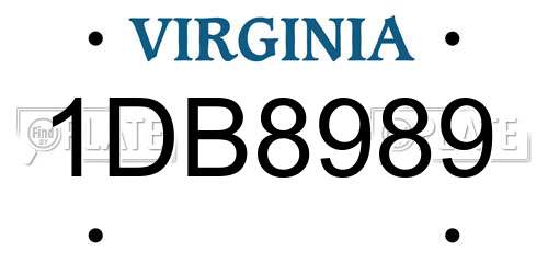 1DB8989 Virginia License Plate