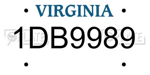 1DB9989 Virginia License Plate