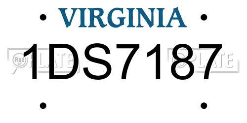 1DS7187 Virginia License Plate