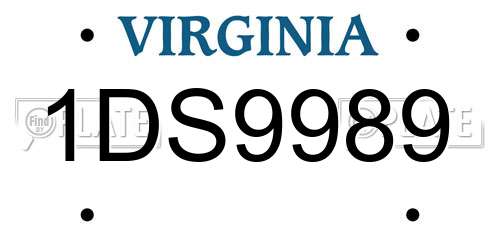 1DS9989 Virginia License Plate