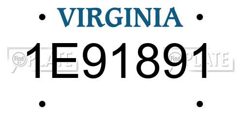 1E91891 Virginia License Plate