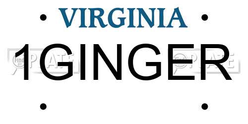 1GINGER Virginia License Plate