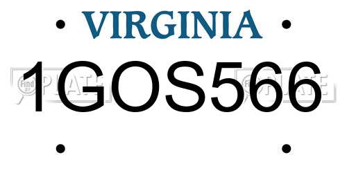 1GOS566 Virginia License Plate