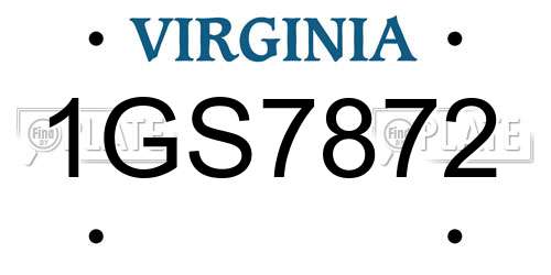 1GS7872 Virginia License Plate