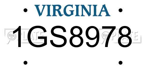 1GS8978 Virginia License Plate