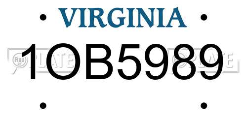 1OB5989 Virginia License Plate
