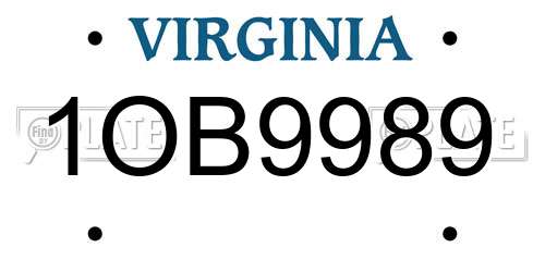 1OB9989 Virginia License Plate