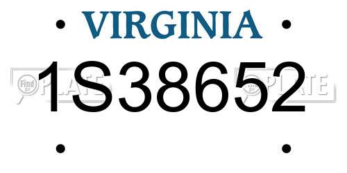 1S38652 Virginia License Plate