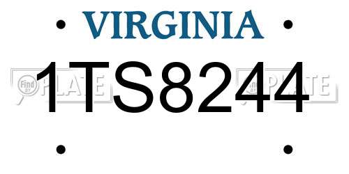 1TS8244 Virginia License Plate