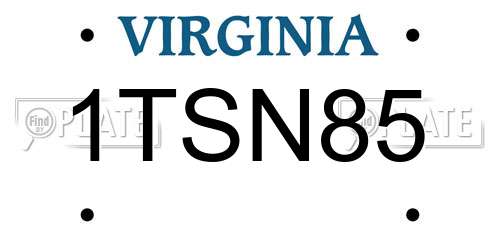 1TSN85 Virginia License Plate