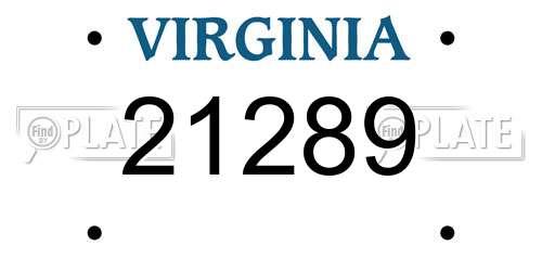 21289 Virginia License Plate