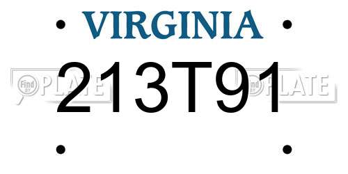 213T91 Virginia License Plate