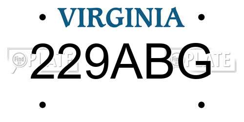 229ABG Virginia License Plate