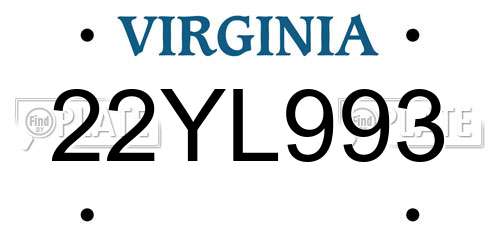 22YL993 Virginia License Plate