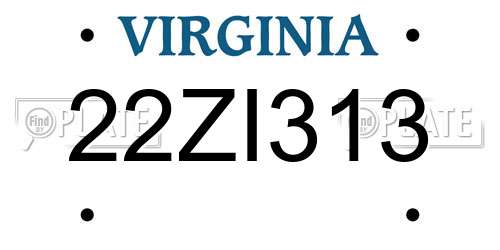 22ZI313 Virginia License Plate
