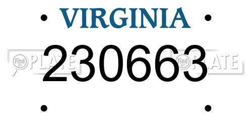 230663 Virginia License Plate