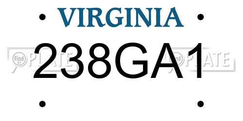 238GA1 Virginia License Plate