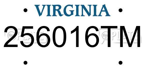 256016TM Virginia License Plate
