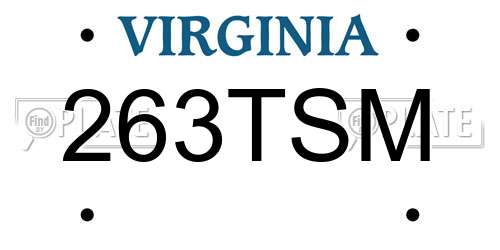 263TSM Virginia License Plate