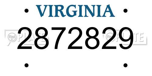 2872829 Virginia License Plate