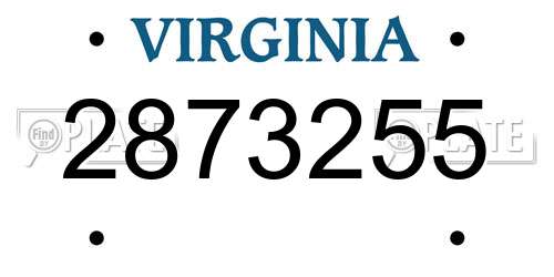 2873255 Virginia License Plate