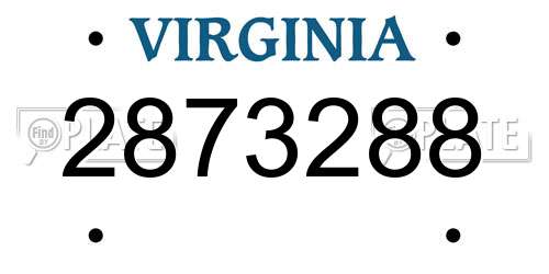 2873288 Virginia License Plate