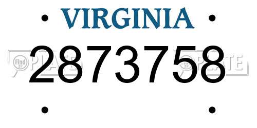 2873758 Virginia License Plate