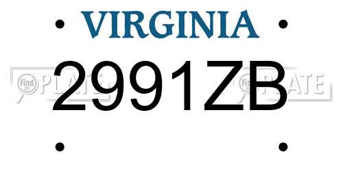 2991ZB Virginia License Plate