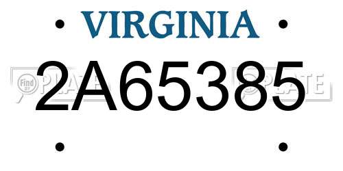 2A65385 Virginia License Plate