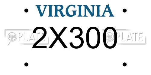 2X300 Virginia License Plate