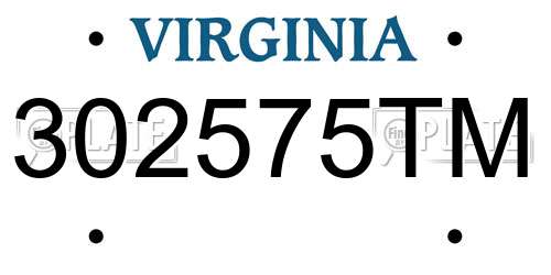 302575TM Virginia License Plate