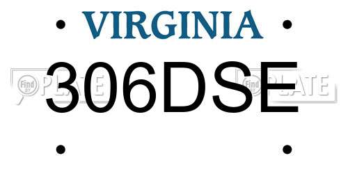 306DSE Virginia License Plate